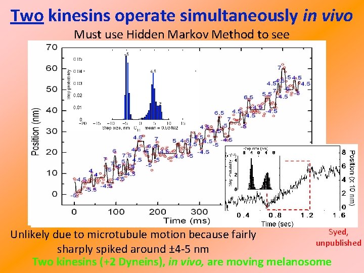 Two kinesins operate simultaneously in vivo Must use Hidden Markov Method to see Syed,