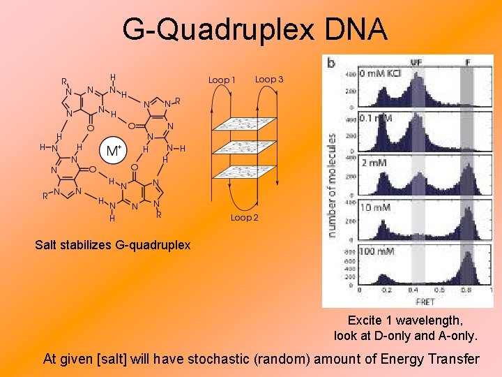 G-Quadruplex DNA Salt stabilizes G-quadruplex Excite 1 wavelength, look at D-only and A-only. At