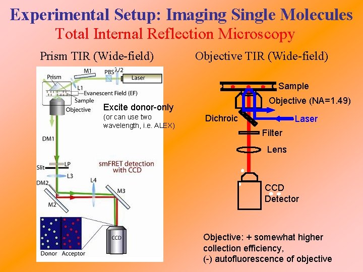Experimental Setup: Imaging Single Molecules Total Internal Reflection Microscopy Prism TIR (Wide-field) Objective TIR