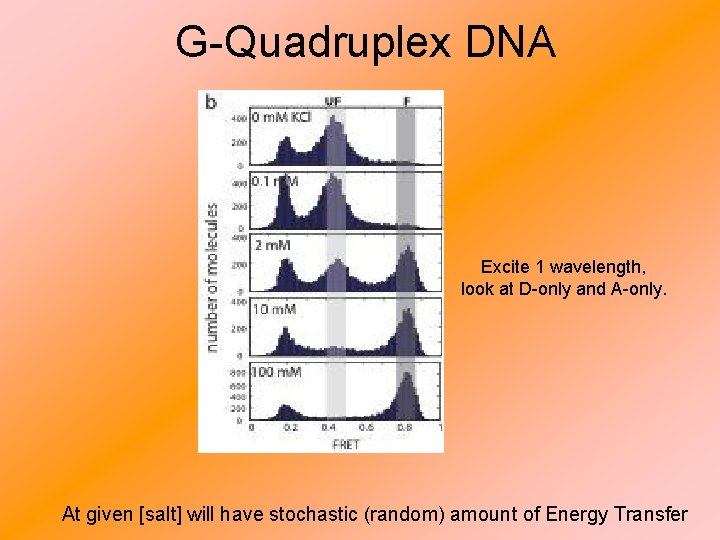 G-Quadruplex DNA Excite 1 wavelength, look at D-only and A-only. At given [salt] will