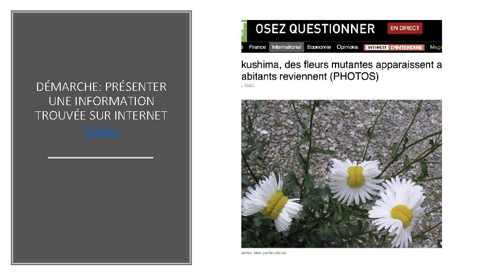 DÉMARCHE: PRÉSENTER UNE INFORMATION TROUVÉE SUR INTERNET Padlet 