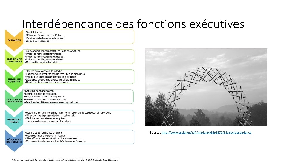 Interdépendance des fonctions exécutives Source : http: //www. socialter. fr/fr/module/99999672/56/interdependance 