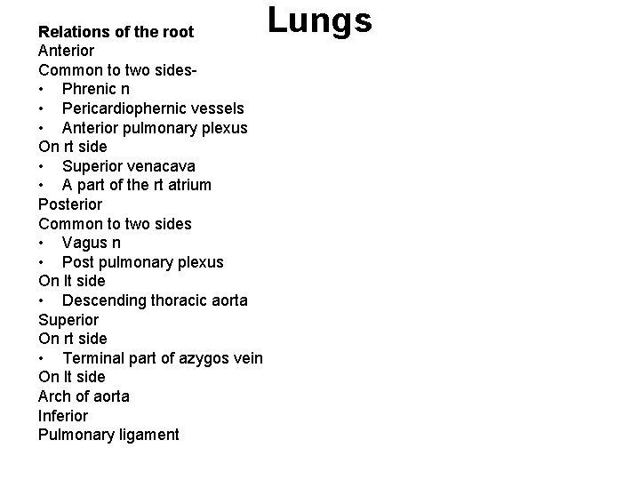 Relations of the root Anterior Common to two sides • Phrenic n • Pericardiophernic