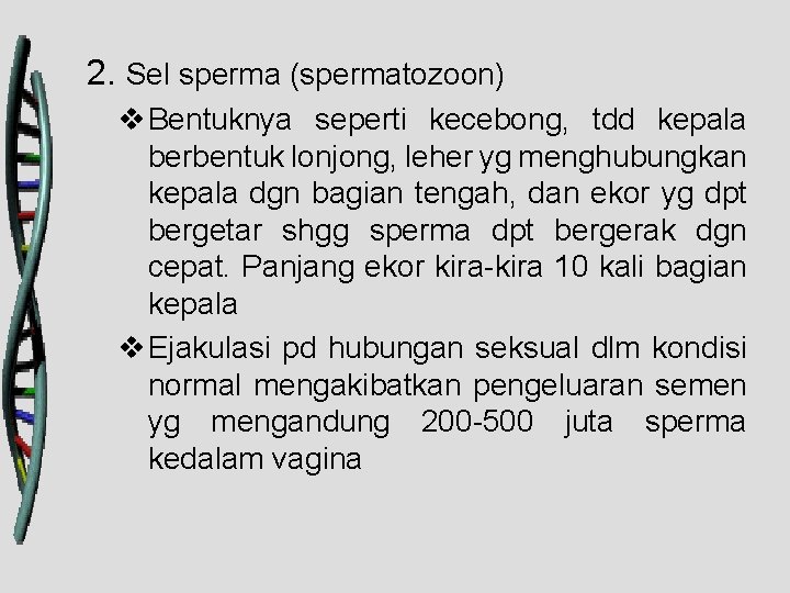 2. Sel sperma (spermatozoon) v Bentuknya seperti kecebong, tdd kepala berbentuk lonjong, leher yg