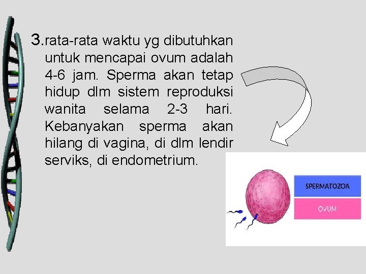 3. rata-rata waktu yg dibutuhkan untuk mencapai ovum adalah 4 -6 jam. Sperma akan