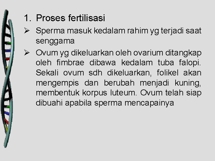 1. Proses fertilisasi Ø Sperma masuk kedalam rahim yg terjadi saat senggama Ø Ovum