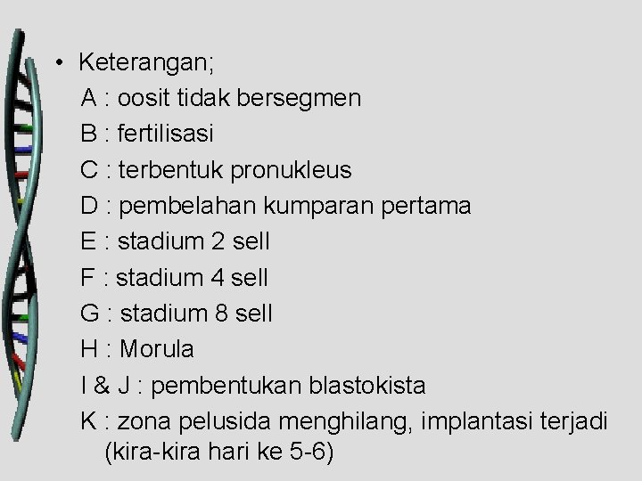  • Keterangan; A : oosit tidak bersegmen B : fertilisasi C : terbentuk