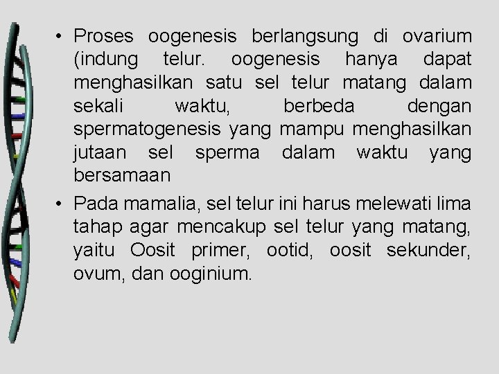  • Proses oogenesis berlangsung di ovarium (indung telur. oogenesis hanya dapat menghasilkan satu