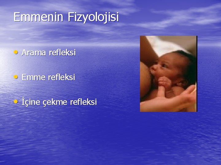 Emmenin Fizyolojisi • Arama refleksi • Emme refleksi • İçine çekme refleksi 