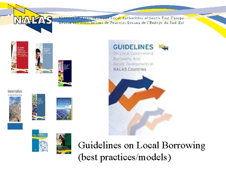 Guidelines on Local Borrowing (best practices/models) 