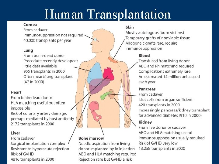 Human Transplantation 