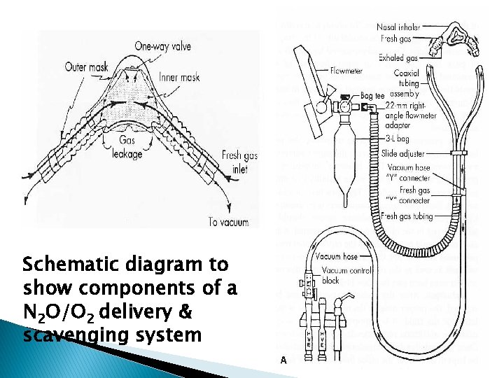 Schematic diagram to show components of a N 2 O/O 2 delivery & scavenging