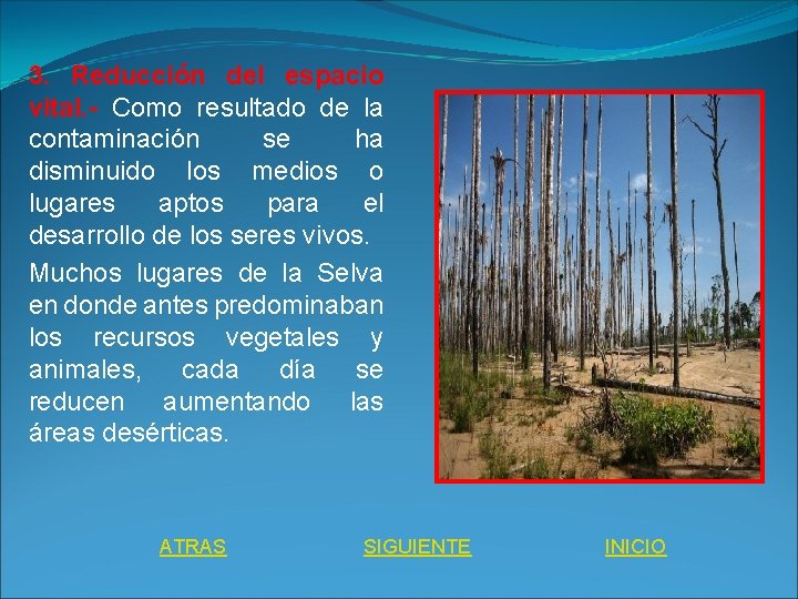 3. Reducción del espacio vital. - Como resultado de la contaminación se ha disminuido