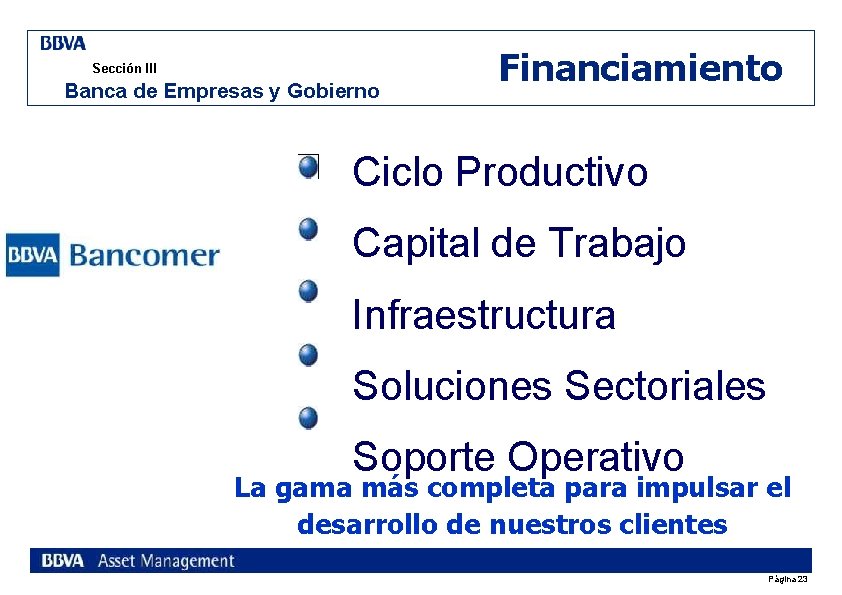 Sección III Banca de Empresas y Gobierno Financiamiento Ciclo Productivo Capital de Trabajo Infraestructura