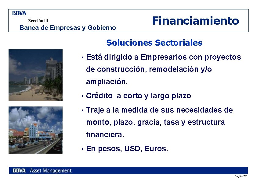 Sección III Banca de Empresas y Gobierno Financiamiento Soluciones Sectoriales • Está dirigido a