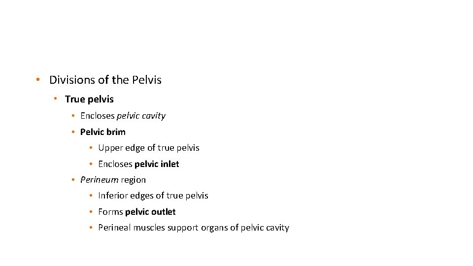  • Divisions of the Pelvis • True pelvis • Encloses pelvic cavity •