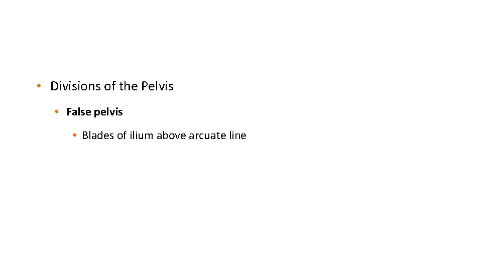  • Divisions of the Pelvis • False pelvis • Blades of ilium above