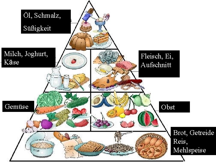 Öl, Schmalz, Süßigkeit Milch, Joghurt, Käse Fleisch, Ei, Aufschnitt ä Gemüse Obst Brot, Getreide