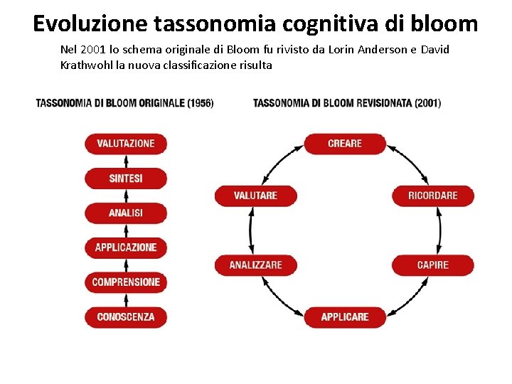 Evoluzione tassonomia cognitiva di bloom Nel 2001 lo schema originale di Bloom fu rivisto