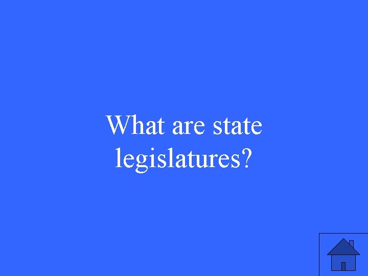 What are state legislatures? 