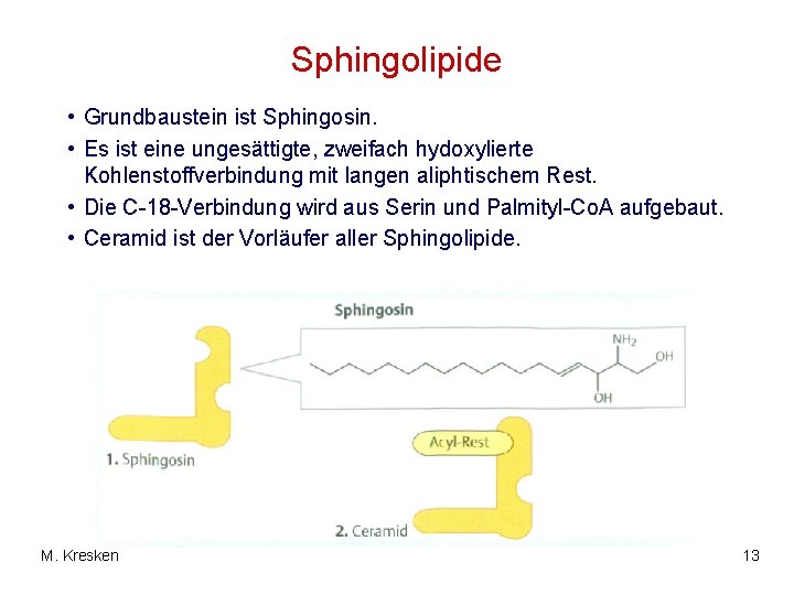 Sphingolipide • Grundbaustein ist Sphingosin. • Es ist eine ungesättigte, zweifach hydoxylierte Kohlenstoffverbindung mit