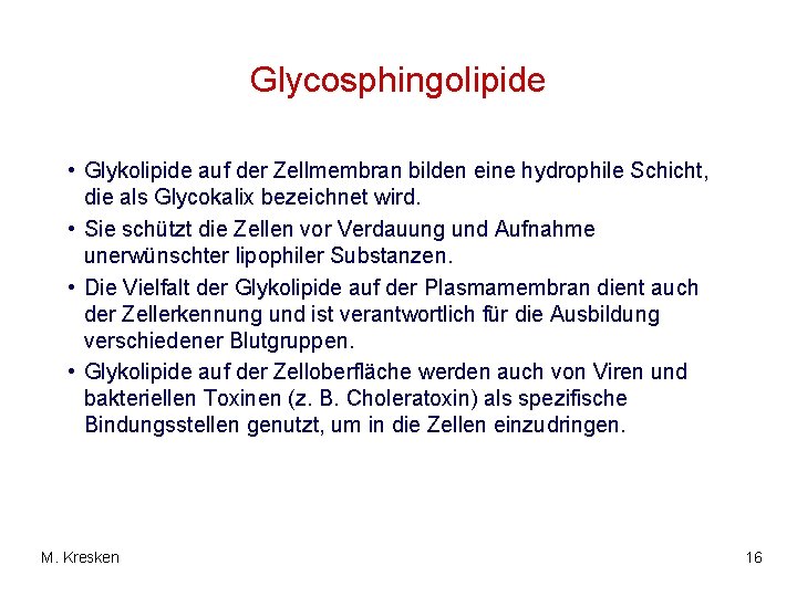 Glycosphingolipide • Glykolipide auf der Zellmembran bilden eine hydrophile Schicht, die als Glycokalix bezeichnet