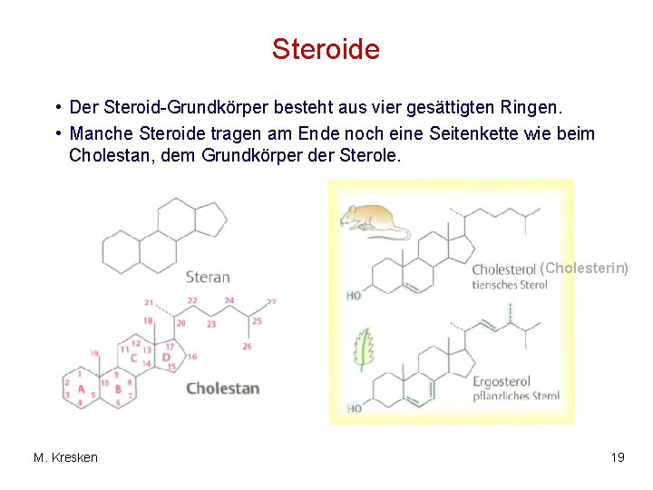 Steroide • Der Steroid-Grundkörper besteht aus vier gesättigten Ringen. • Manche Steroide tragen am