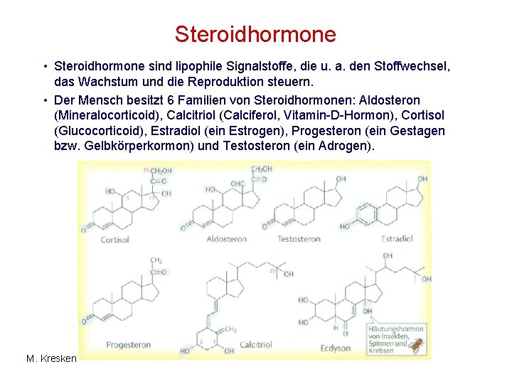 Steroidhormone • Steroidhormone sind lipophile Signalstoffe, die u. a. den Stoffwechsel, das Wachstum und