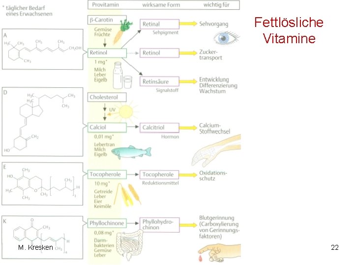 Fettlösliche Vitamine M. Kresken 22 