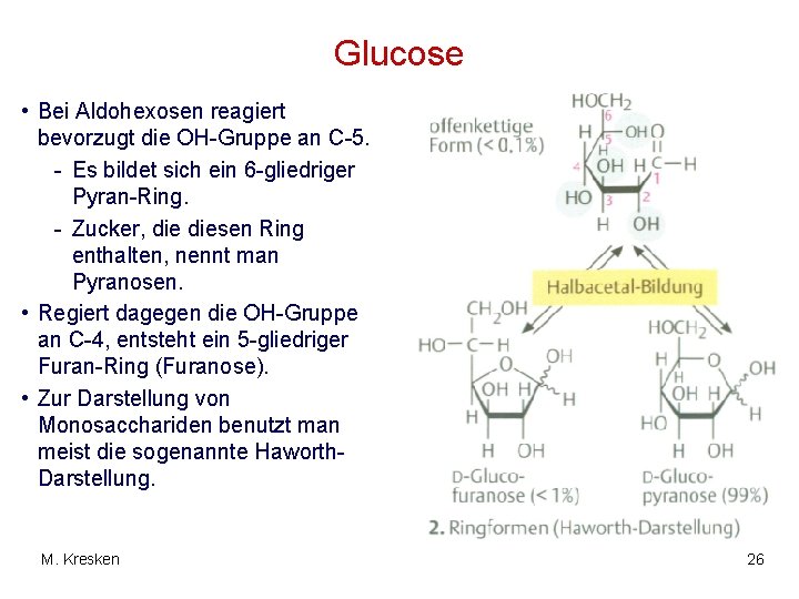 Glucose • Bei Aldohexosen reagiert bevorzugt die OH-Gruppe an C-5. - Es bildet sich