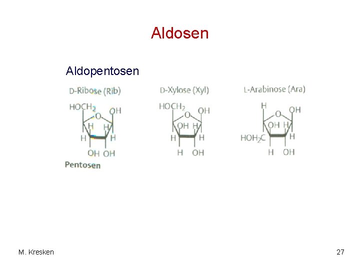 Aldosen Aldopentosen M. Kresken 27 