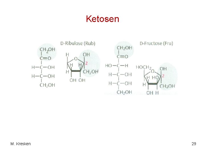 Ketosen M. Kresken 29 