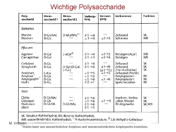 Wichtige Polysaccharide * M. Kresken * *Stärke kann aus wasserlöslicher Amylose und wasserunlöslichem Amylopectin