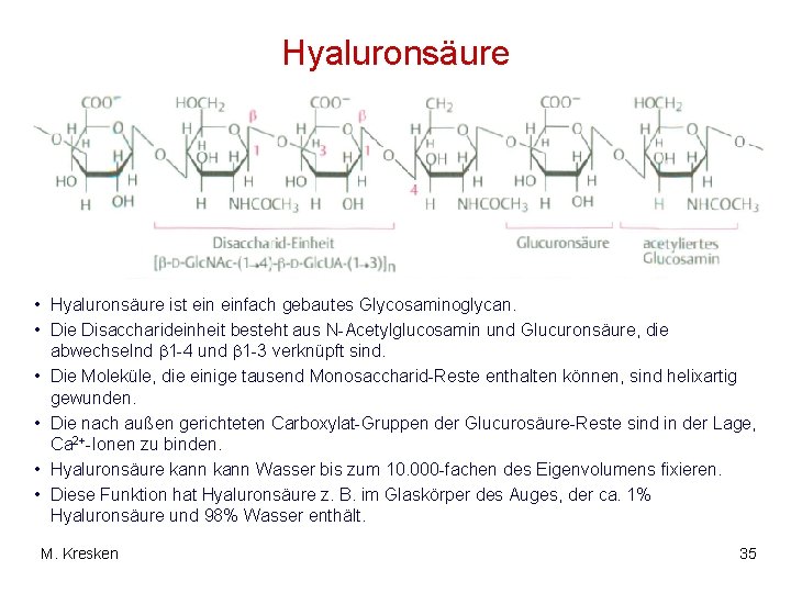 Hyaluronsäure • Hyaluronsäure ist einfach gebautes Glycosaminoglycan. • Die Disaccharideinheit besteht aus N-Acetylglucosamin und