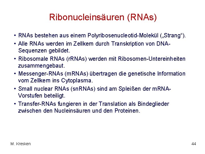 Ribonucleinsäuren (RNAs) • RNAs bestehen aus einem Polyribosenucleotid-Molekül („Strang“). • Alle RNAs werden im