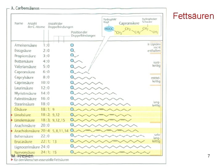 Fettsäuren M. Kresken 7 