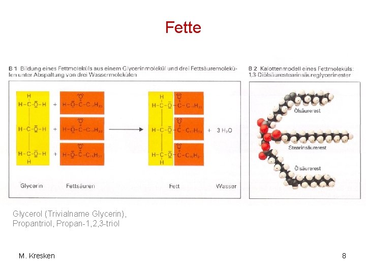 Fette Glycerol (Trivialname Glycerin), Propantriol, Propan-1, 2, 3 -triol M. Kresken 8 