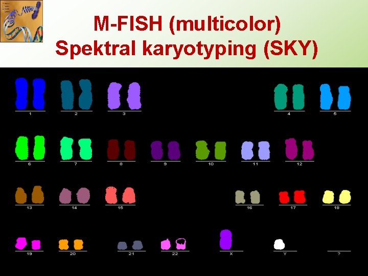 M-FISH (multicolor) Spektral karyotyping (SKY) 