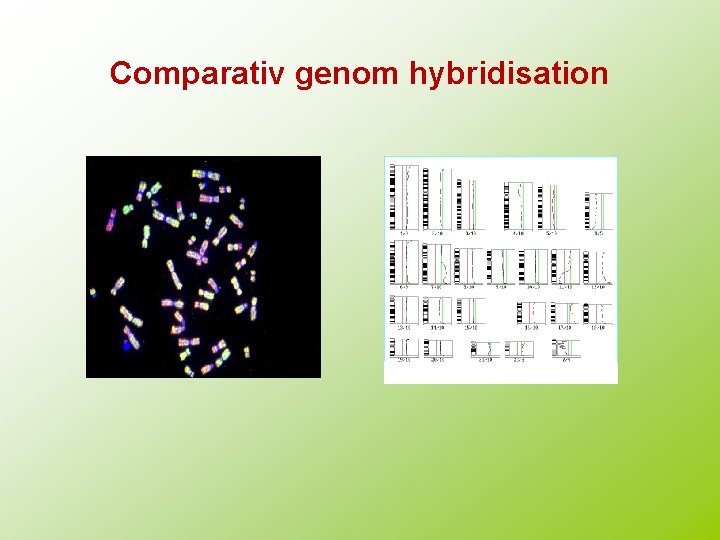 Comparativ genom hybridisation 