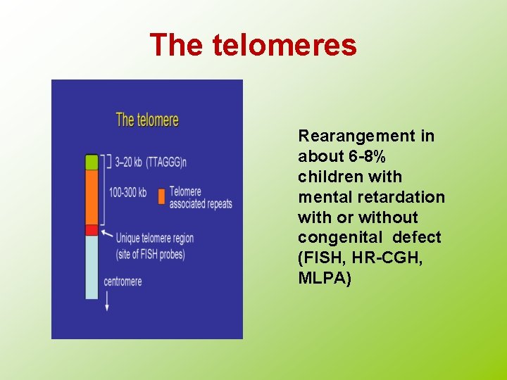 The telomeres Rearangement in about 6 -8% children with mental retardation with or without