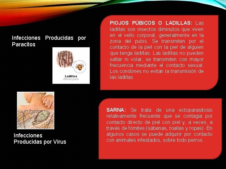 Infecciones Producidas por Paracitos Infecciones Producidas por Virus PIOJOS PÚBICOS O LADILLAS: Las ladillas