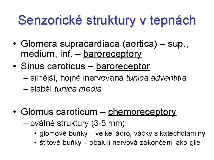 Senzorické struktury v tepnách • Glomera supracardiaca (aortica) – sup. , medium, inf. –