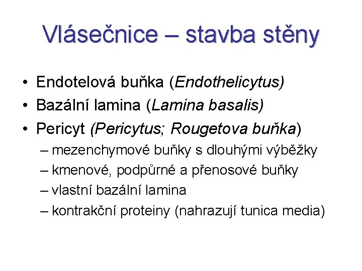 Vlásečnice – stavba stěny • Endotelová buňka (Endothelicytus) • Bazální lamina (Lamina basalis) •