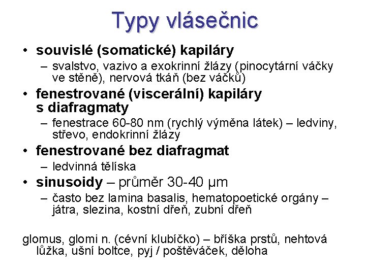 Typy vlásečnic • souvislé (somatické) kapiláry – svalstvo, vazivo a exokrinní žlázy (pinocytární váčky