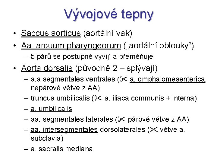 Vývojové tepny • Saccus aorticus (aortální vak) • Aa. arcuum pharyngeorum („aortální oblouky“) –