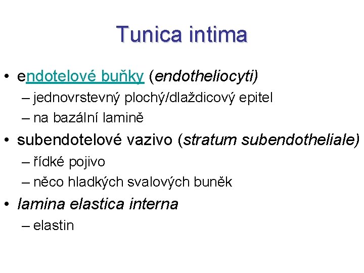 Tunica intima • endotelové buňky (endotheliocyti) – jednovrstevný plochý/dlaždicový epitel – na bazální lamině