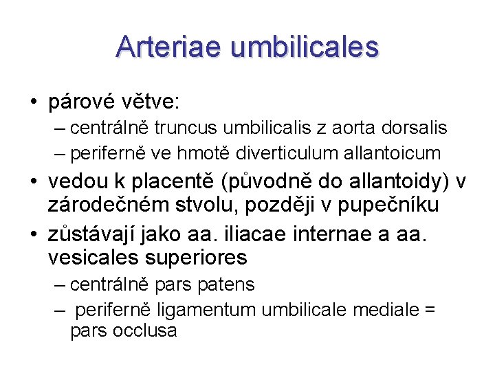 Arteriae umbilicales • párové větve: – centrálně truncus umbilicalis z aorta dorsalis – periferně