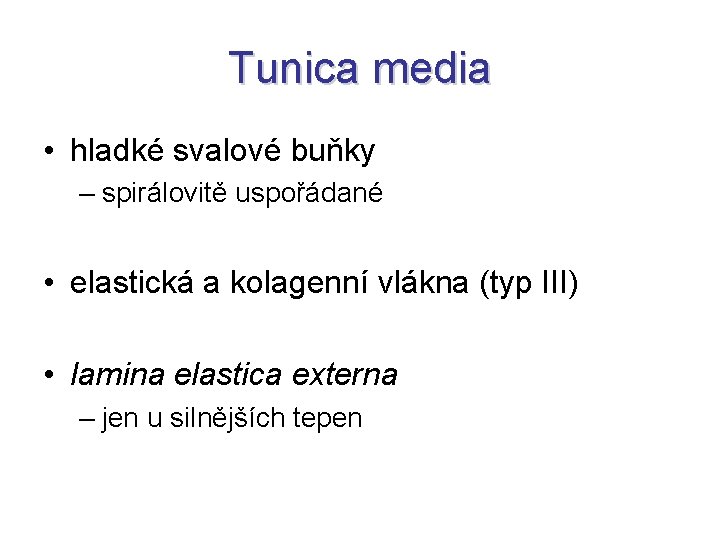 Tunica media • hladké svalové buňky – spirálovitě uspořádané • elastická a kolagenní vlákna