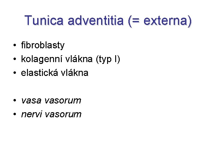 Tunica adventitia (= externa) • fibroblasty • kolagenní vlákna (typ I) • elastická vlákna