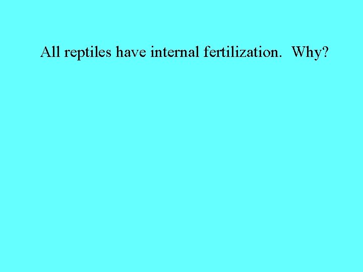 All reptiles have internal fertilization. Why? 